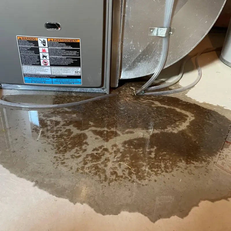 Appliance Leak Cleanup in Plum Grove, TX