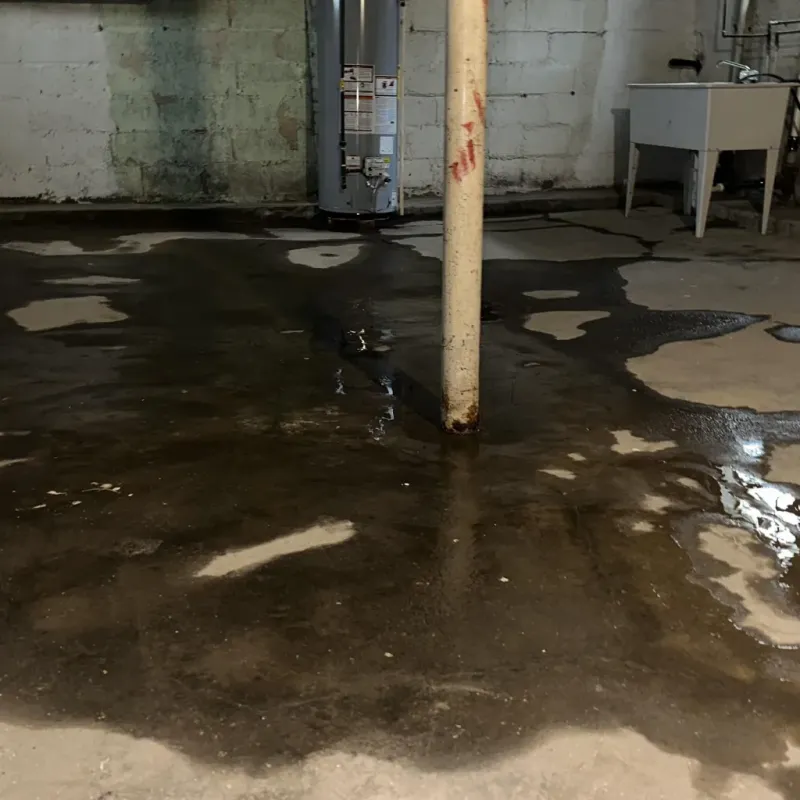 Emergency Water Extraction And Removal in Plum Grove, TX